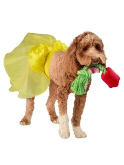 Beauty And The Beast Belle Pet Tutu And Rose Rope Toy