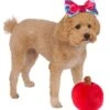 Snow White Pet Headpiece And Apple Toy