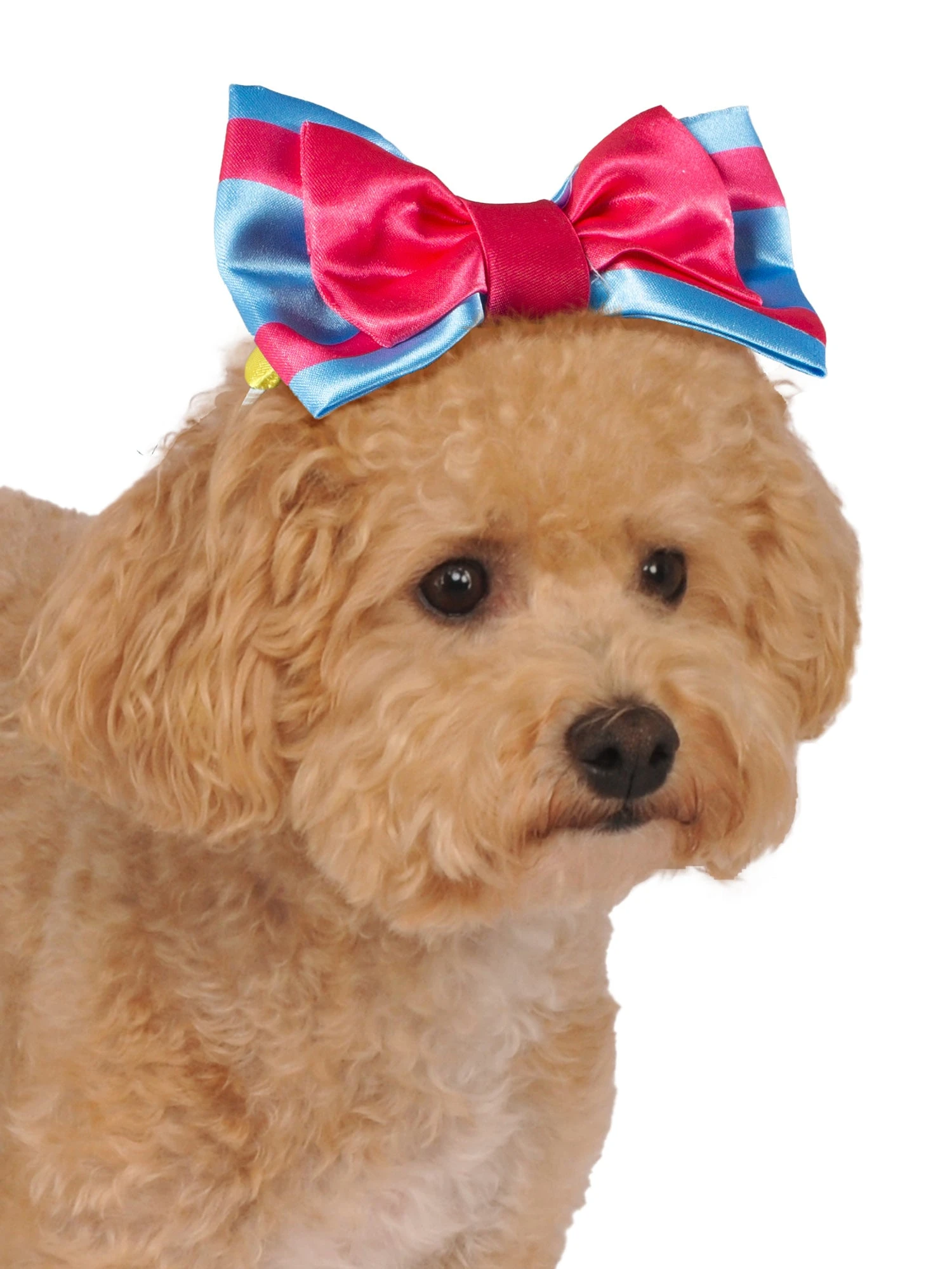 Snow White Pet Headpiece And Apple Toy 2 Snow White Pet Headpiece And Apple Toy - Image 2