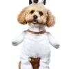 Peanuts Snoopy Walking Pet Costume
