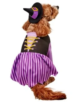 Purple Witch Pet Costume -Costume Supercenter Store r3000179 3