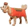Reese's Peanut Butter Cup Pet Costume