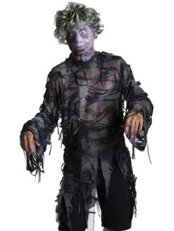 Adult Zombie Mask W/Wig