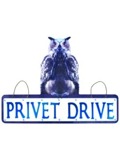 10-inch Harry Potter Privet Wall Sign Decoration