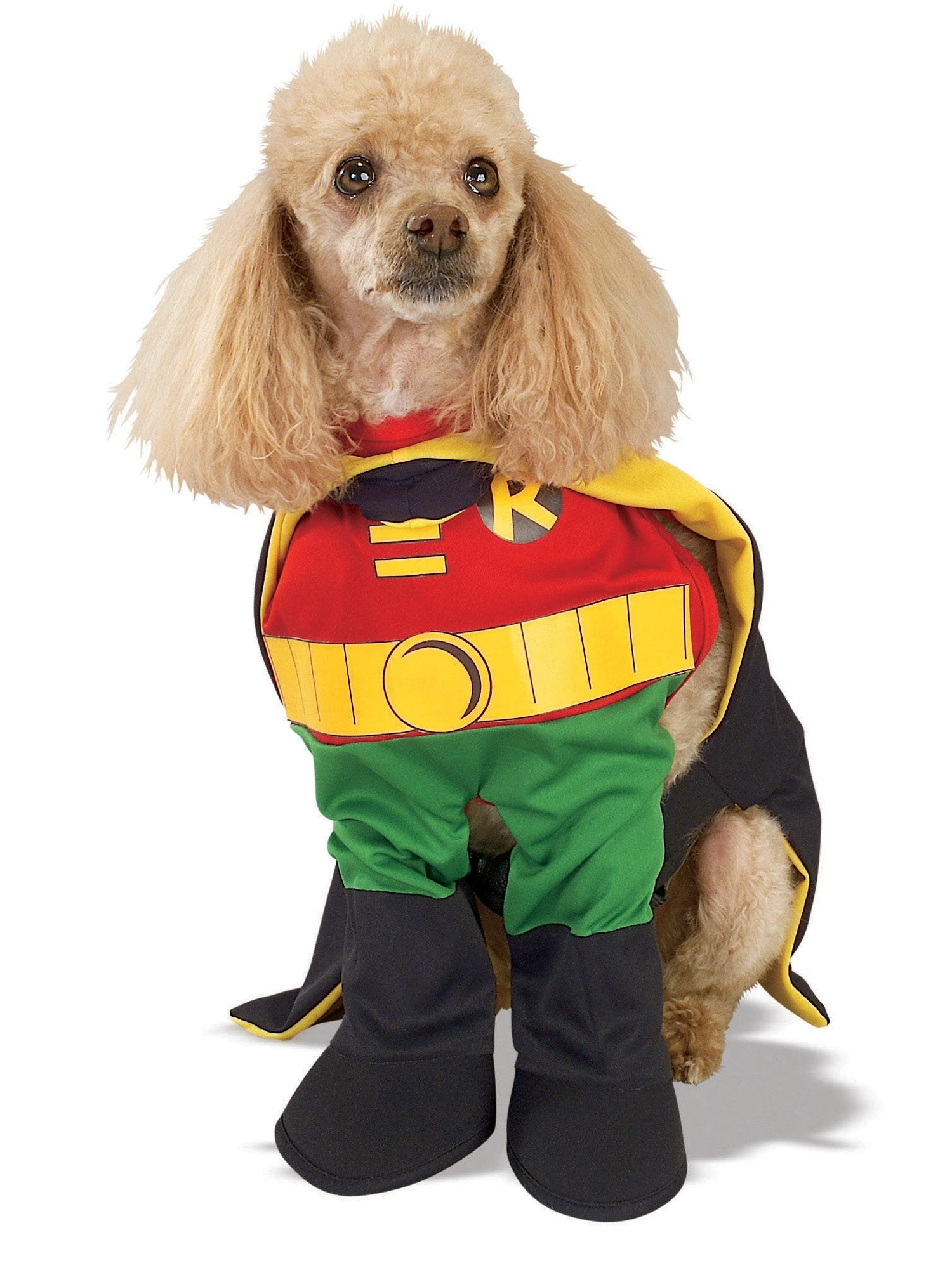 DC Comics Robin Walking Pet Costume 1 DC Comics Robin Walking Pet Costume