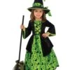 Girls' Green Witch Costume