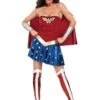 Wonder Woman Adult Costume
