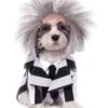 Beetlejuice Beetlejuice Pet Costume