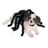 Spooky Black Spider Pet Harness