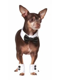 Tuxedo Bowtie & Cuff Pet Set