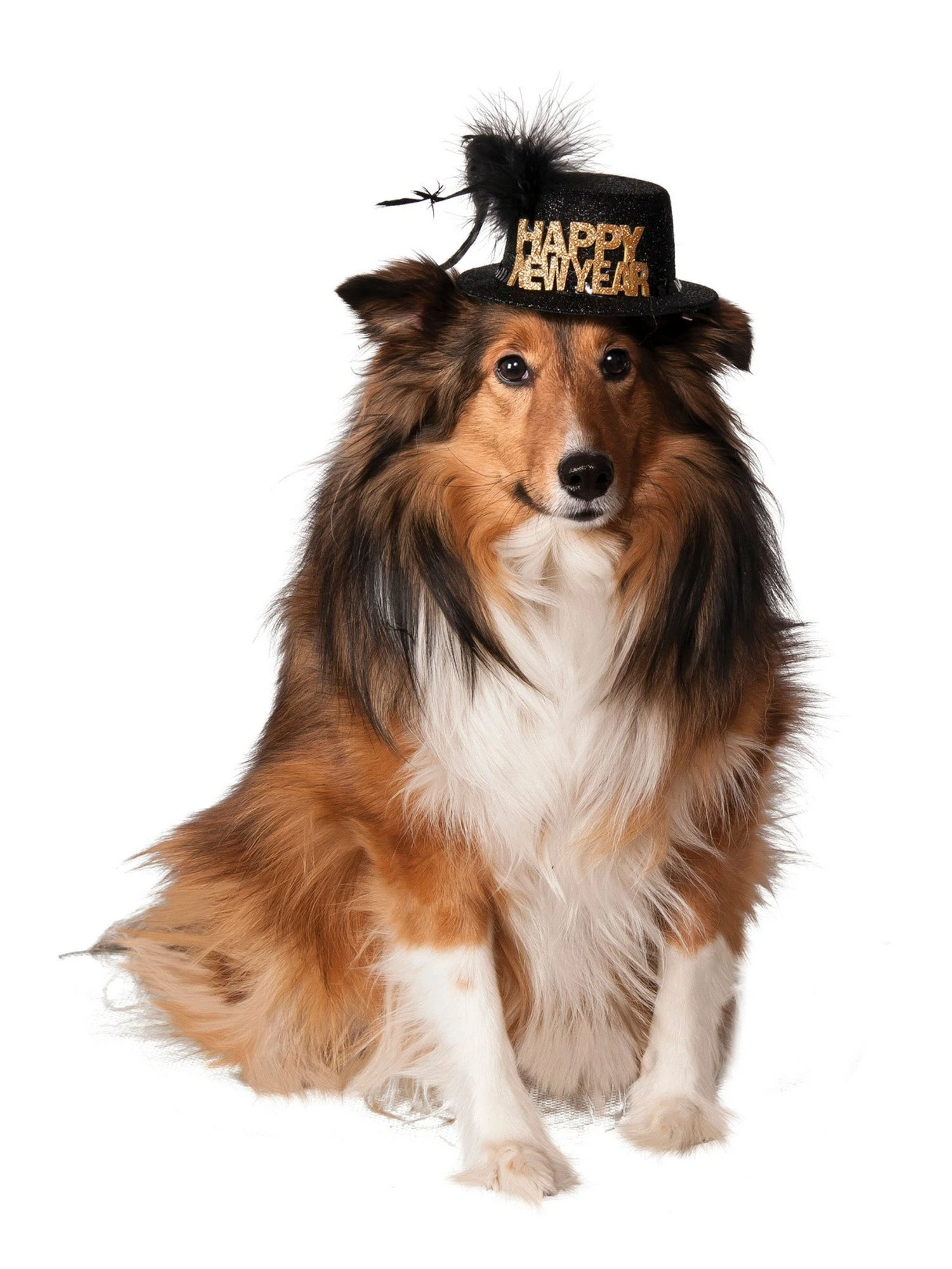 Happy New Year Pet Hat 1 Happy New Year Pet Hat