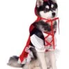Red Riding Hood Pet Costume
