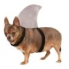 Shark Fin Pet Accessory