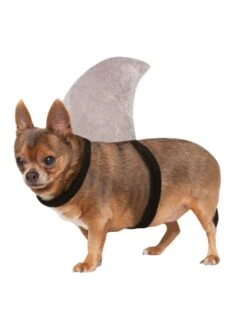 Shark Fin Pet Accessory