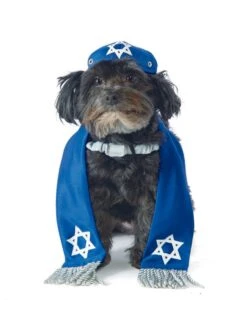 Yarmulke & Tallis Pet Accessories