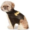 DC Comics Batgirl Pet Cape