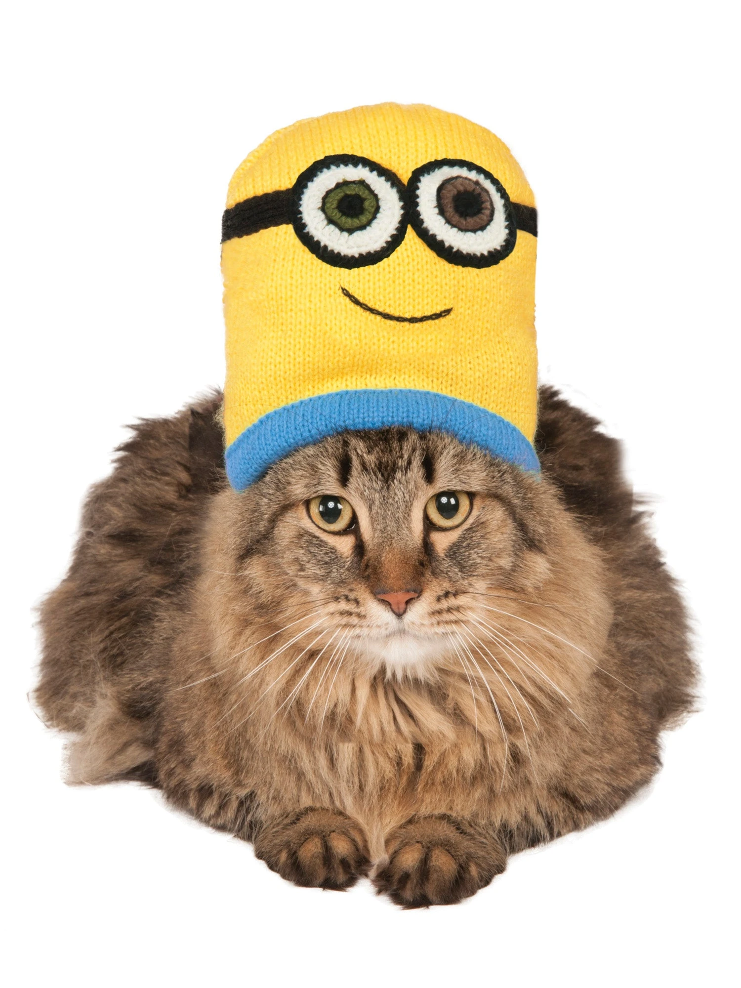 Despicable Me Minion Bob Knit Pet Hat 1 Despicable Me Minion Bob Knit Pet Hat