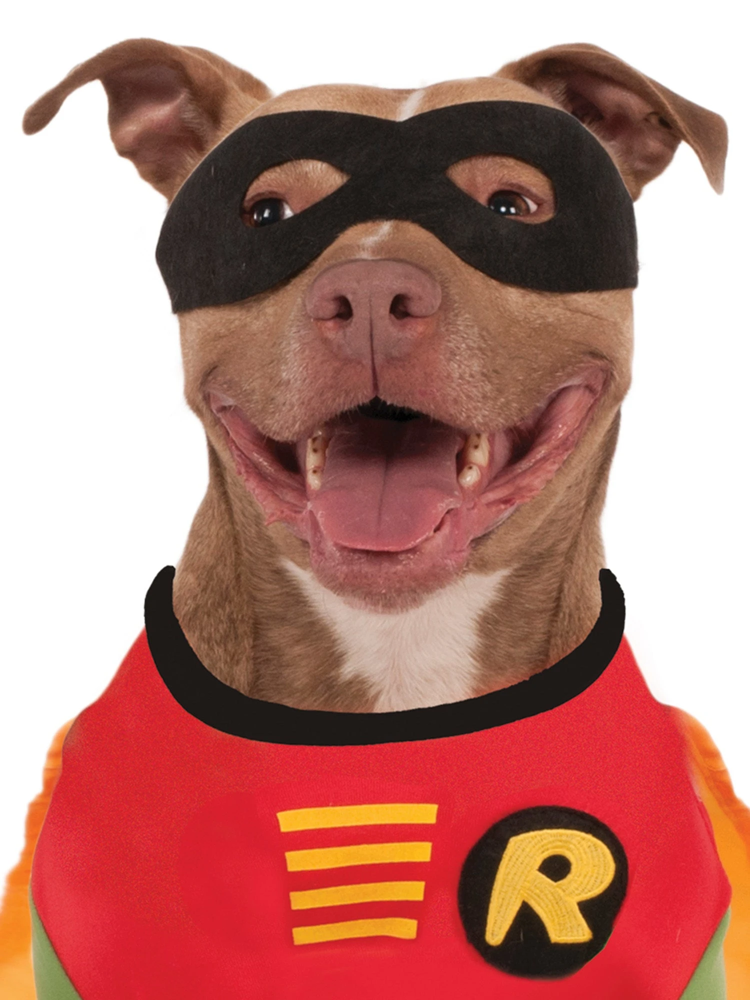 Teen Titans Robin Big Dog Pet Costume 2 Teen Titans Robin Big Dog Pet Costume - Image 2