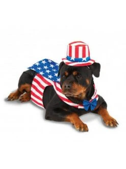 Big Dogs Uncle Sam Pet Halloween Costume