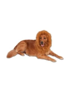Lion's Mane Pet Headpiece - Deluxe