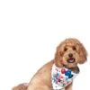 It's My Barkday Bandana Pet Accessory