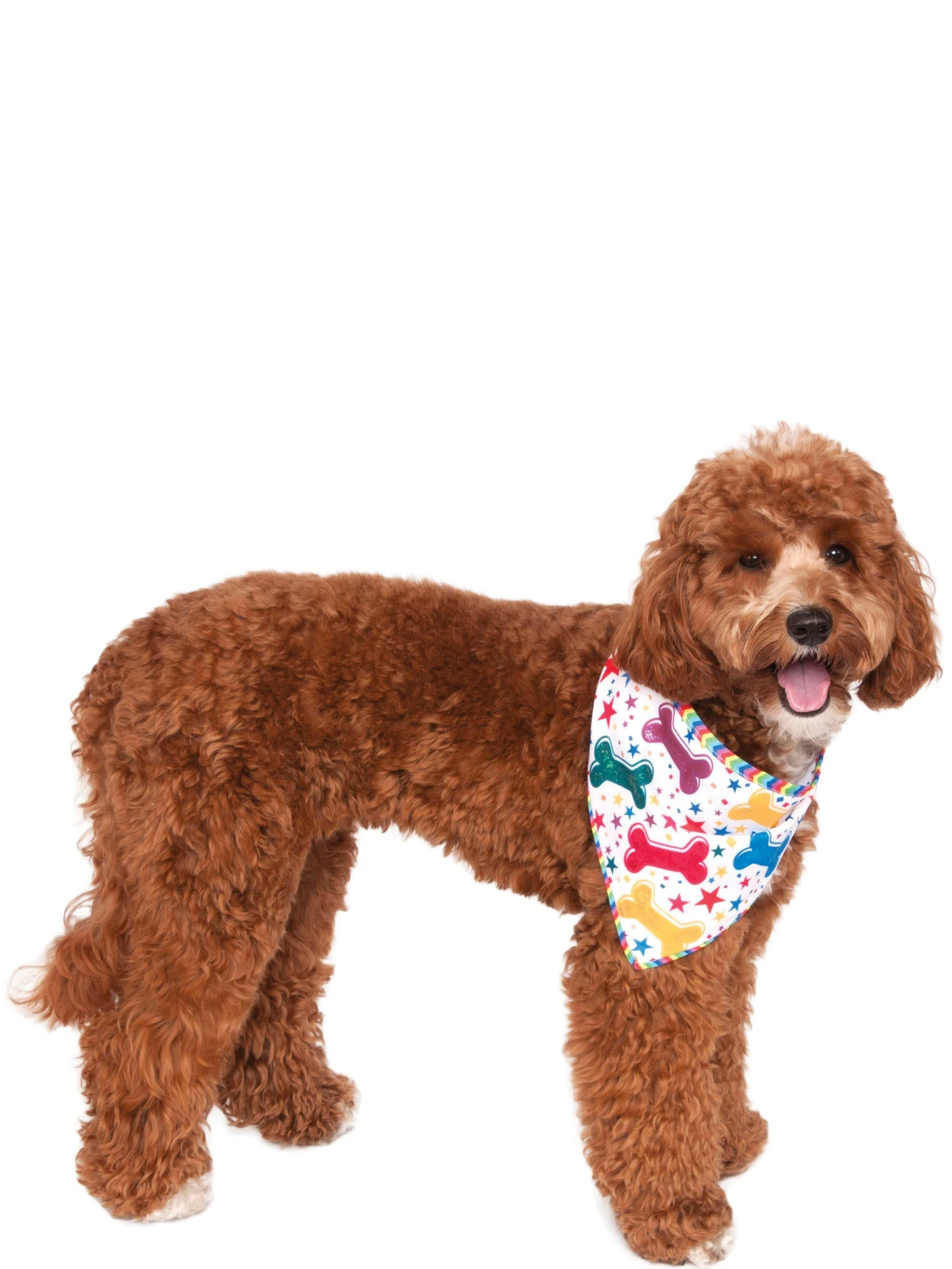 It's My Barkday Bandana Pet Accessory 2 It's My Barkday Bandana Pet Accessory - Image 2