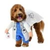 Veterinarian Walking Pet Costume