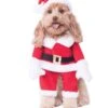 Santa Claus Costume For Pets