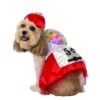 Gumball Dress Costume For Pets