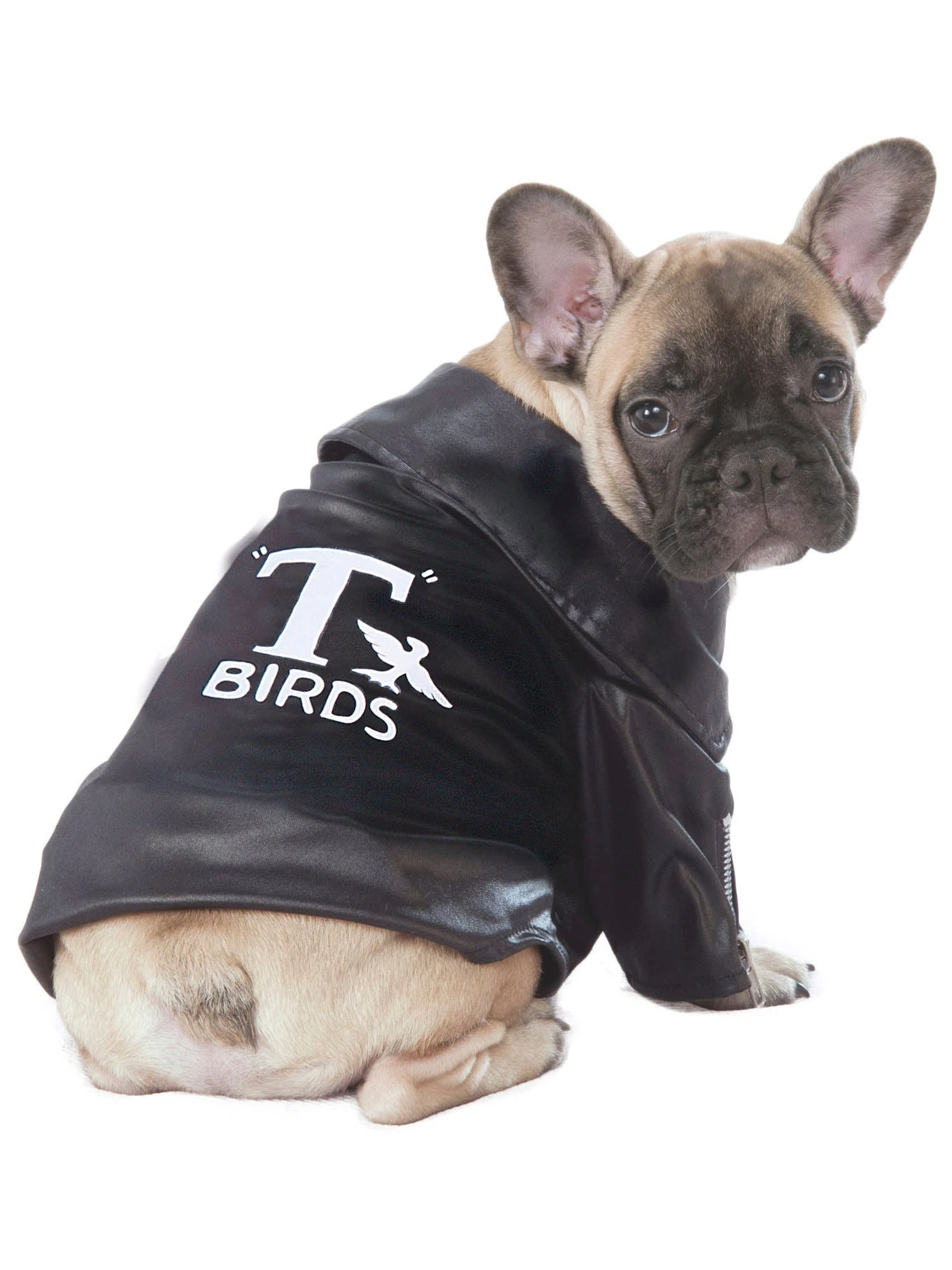 Grease T-Birds Pet Jacket 1 Grease T-Birds Pet Jacket