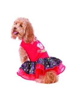Happy Barkday - Tutu - Pet Costume