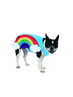 Rainbow Pet Costume
