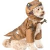 Jurassic Park T-Rex Pet Costume