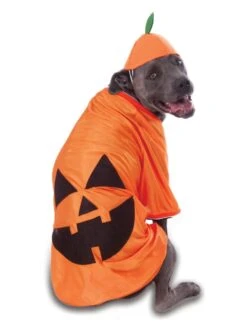 Big Dog - Pumpkin - Costume For Pets