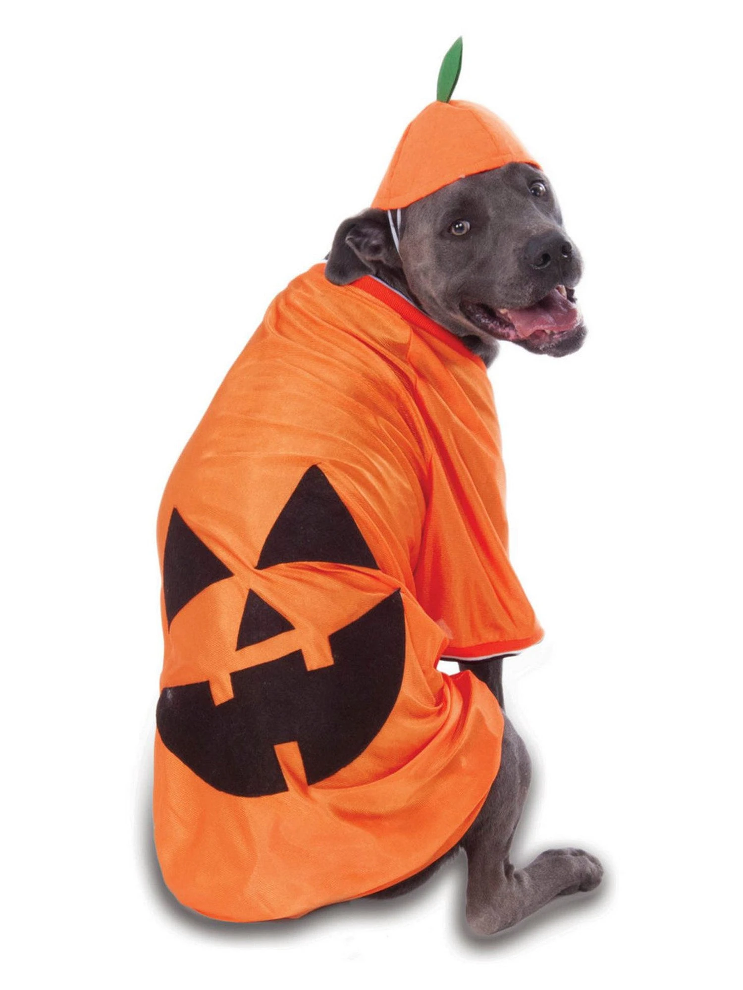 Big Dog - Pumpkin - Costume For Pets 1 Big Dog - Pumpkin - Costume For Pets