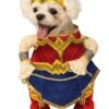 WW84 Wonder Woman Walking Pet Costume
