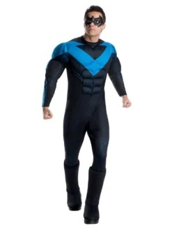DC Super Heroes Nightwing Adult Deluxe Costume
