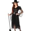 Women's Spider Web Witch Costume