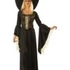 Golden Web Witch Costume For Women
