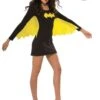 DC Comics Womens Sexy Batgirl Wing Dress Costume