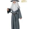 Boys The Hobbit Gandalf Costume