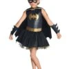 Girls' Batgirl Tutu Costume