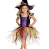 Girls' Autumn Sparkle Witch Costume