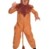 Kids' Wizard Of Oz Cowardly Lion Costume