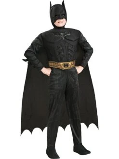 Batman The Dark Knight Rises Deluxe Muscle Chest Child Costume