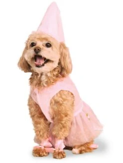 Pet Princess Costume