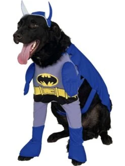 The Brave And The Bold Batman Walking Pet Costume