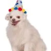 Paw Print Pet Birthday Hat Accessory