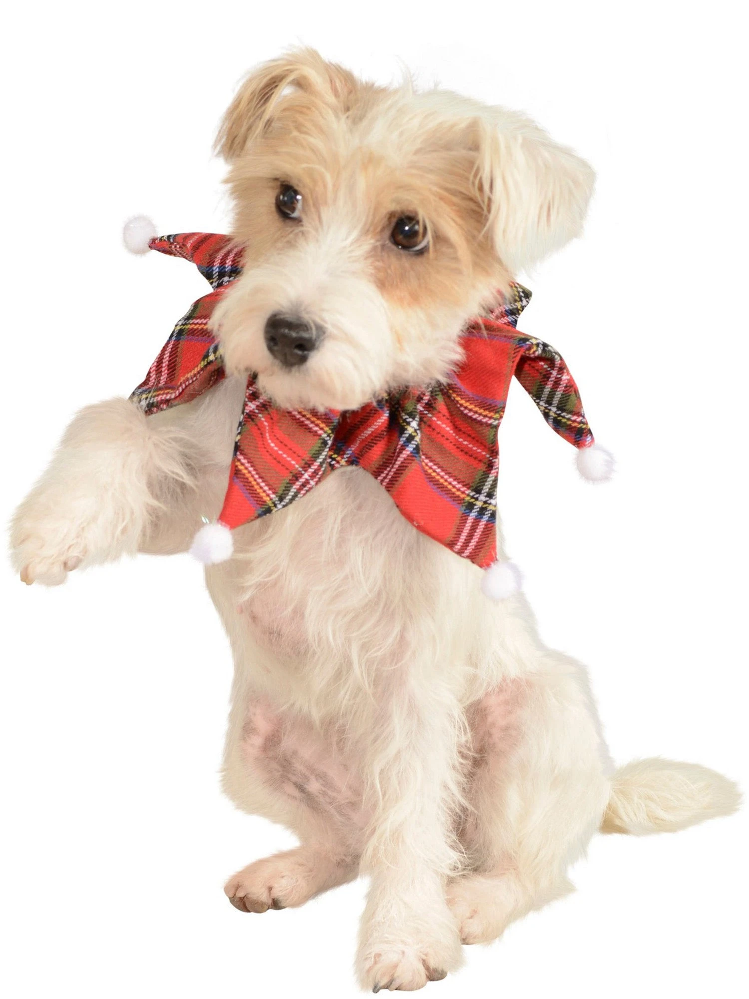 Christmas Classic Plaid Collar For Pets 1 Christmas Classic Plaid Collar For Pets
