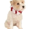Xmas Scrunchie Collar Classic For Pets